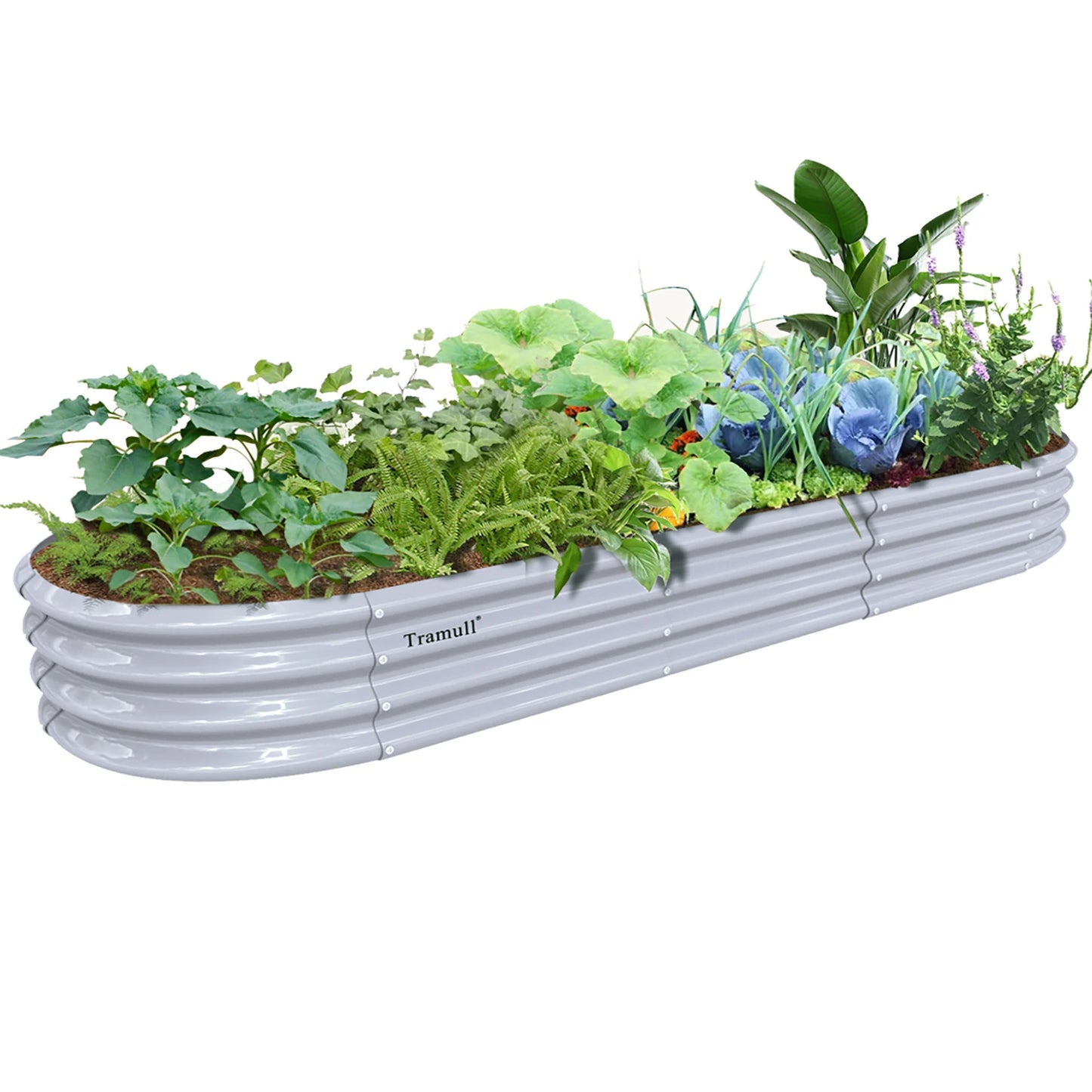Tramull Galvanized Raised Garden Bed Outdoor Planter Box