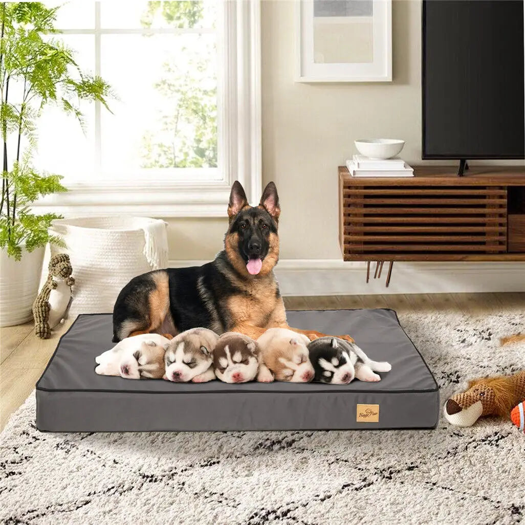 Dog Memory Foam Orthopedic Bed With Washable Waterproof Cover