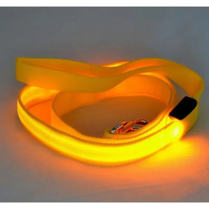 LED Glowing Dog Leash With Flashing Lights For Night Safety
