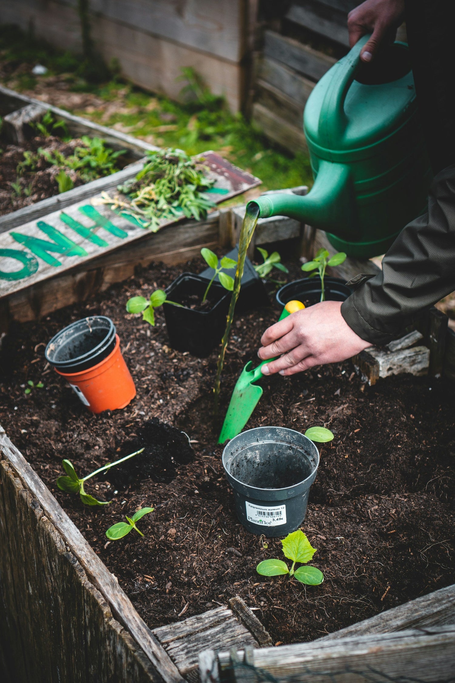 Garden / Homesteading