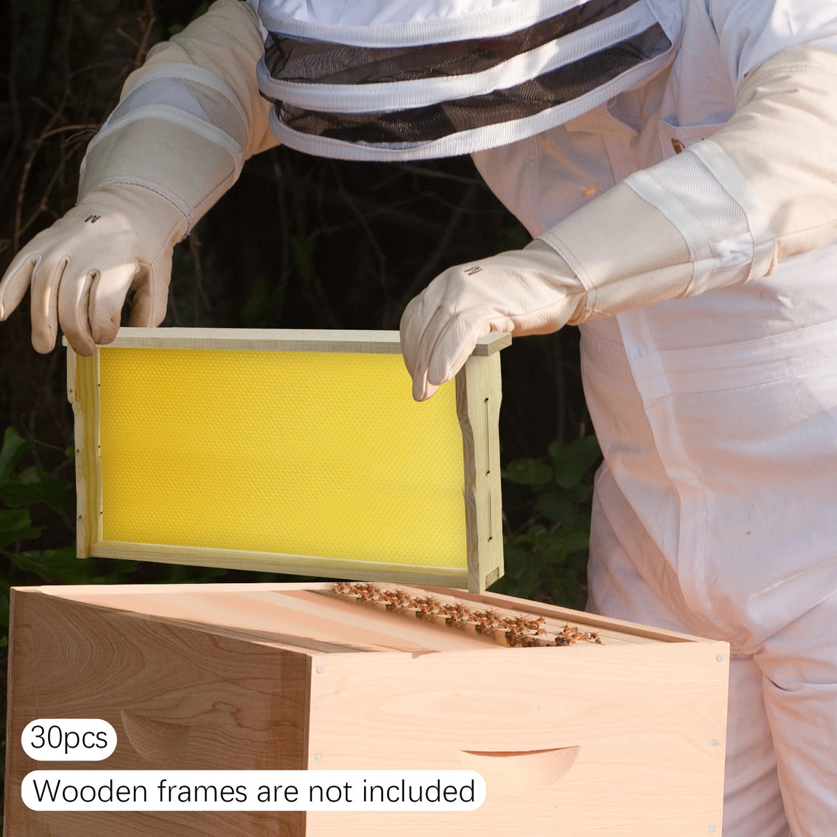 Natural Beeswax Hive Foundation Sheets for Faster Comb Building