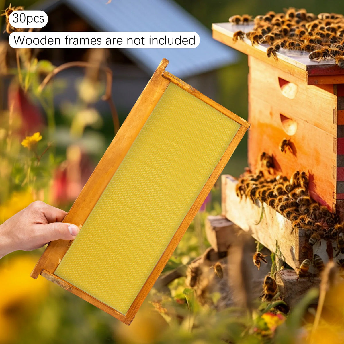 Natural Beeswax Hive Foundation Sheets for Faster Comb Building