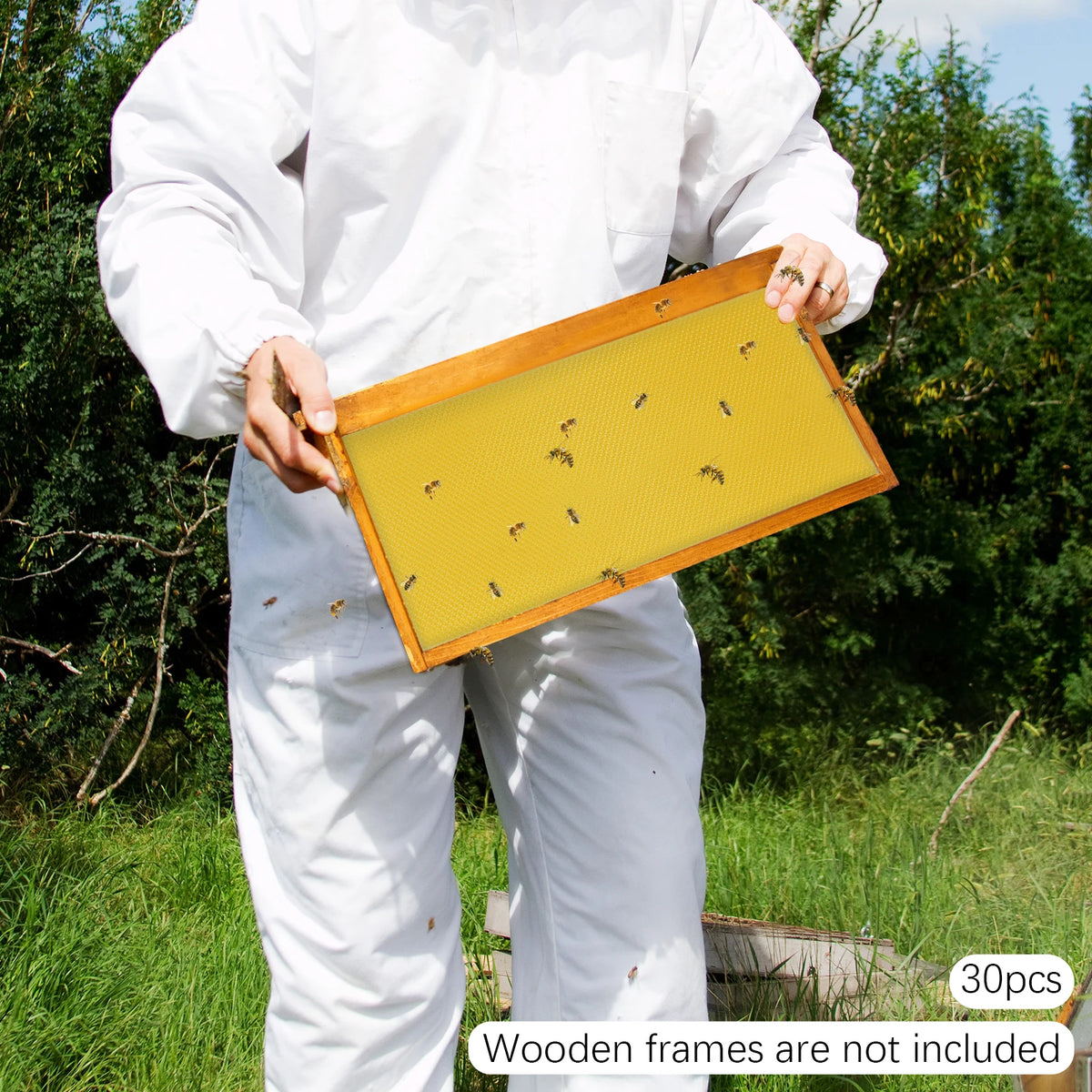 Natural Beeswax Hive Foundation Sheets for Faster Comb Building
