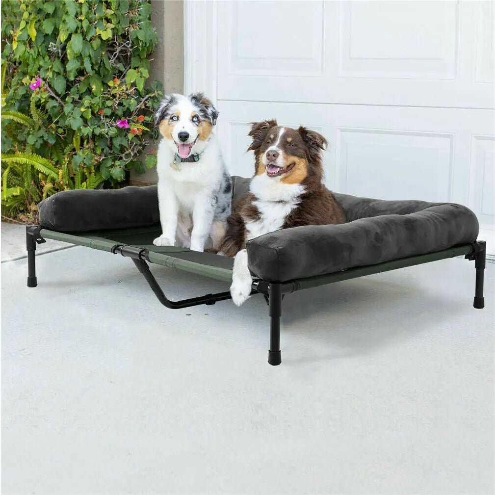 BINGOPAW Elevated Pet Bed Detachable Bolster For Dogs And Cats