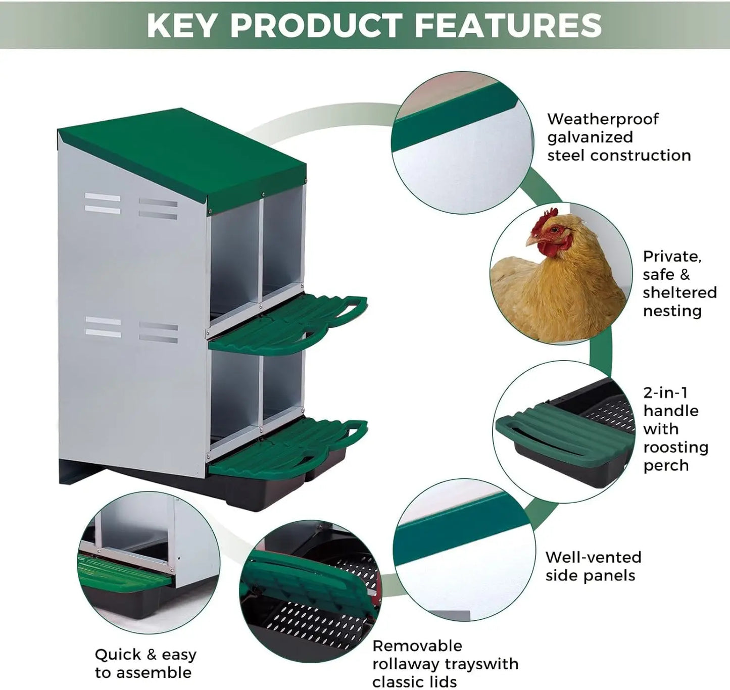 TWISTER.CK Metal Chicken Nesting Box With Automatic Roll Out Egg Collection