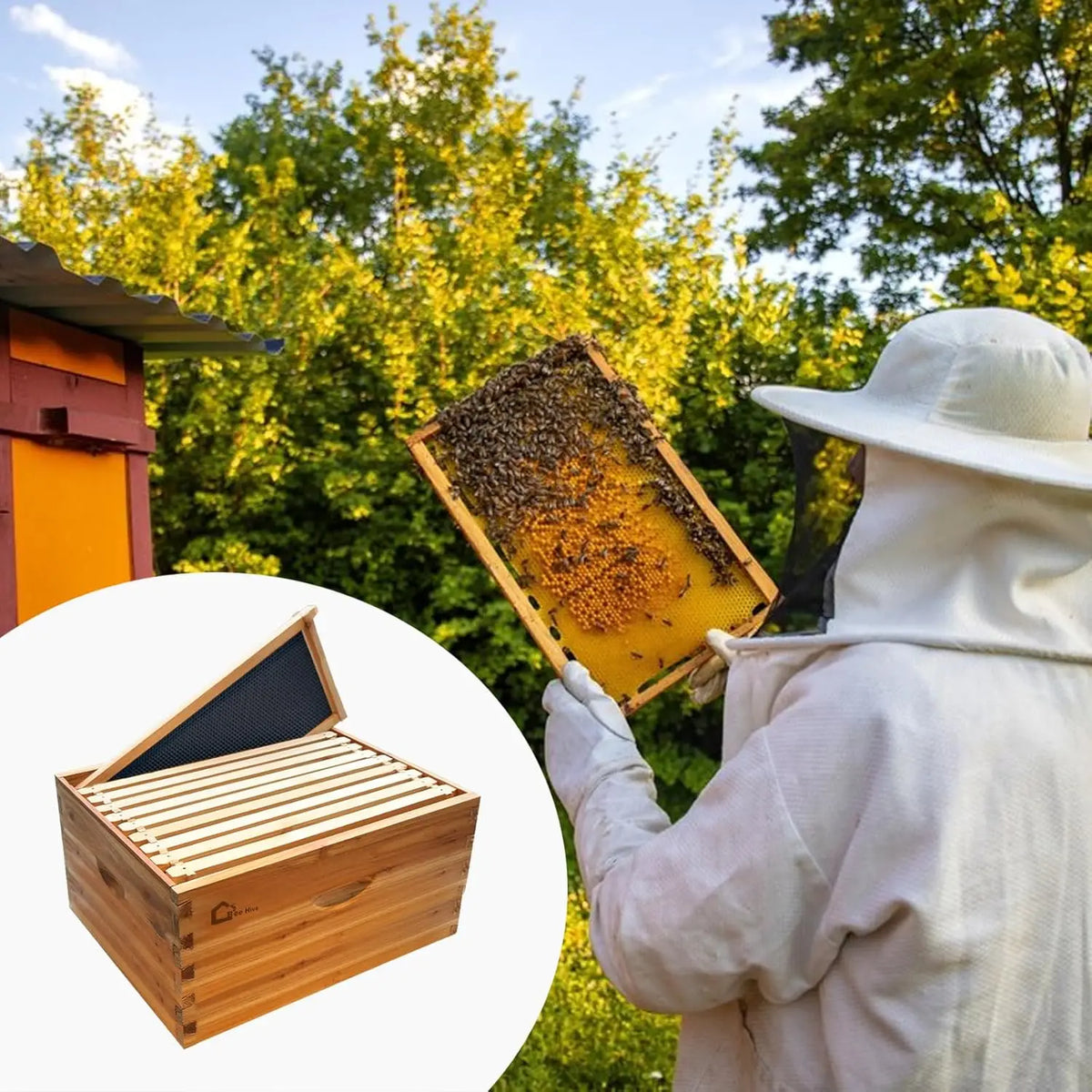 TWISTER.CK Beeswax Dipped Wooden Brood Hive Box With Frames