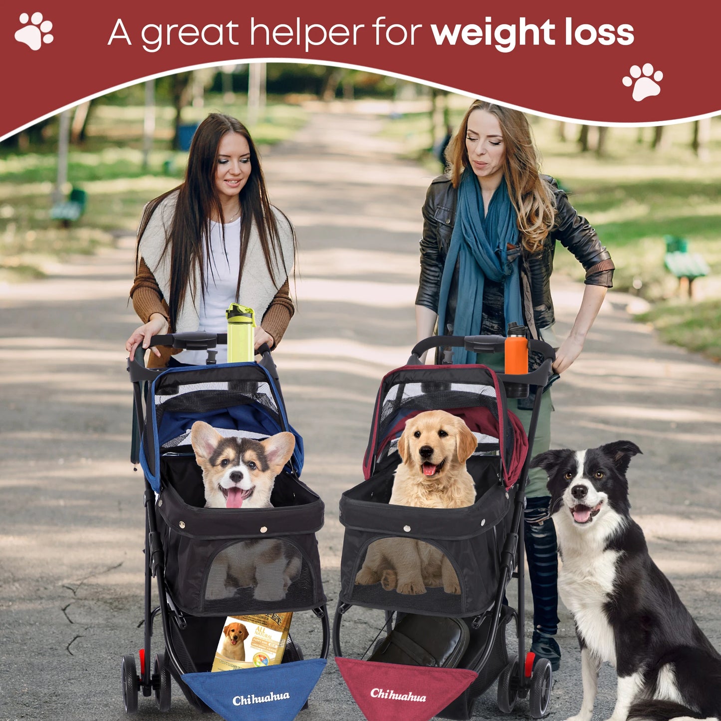 Chihuahua Pet Stroller Three Wheel Foldable With Breathable Mesh Canopy