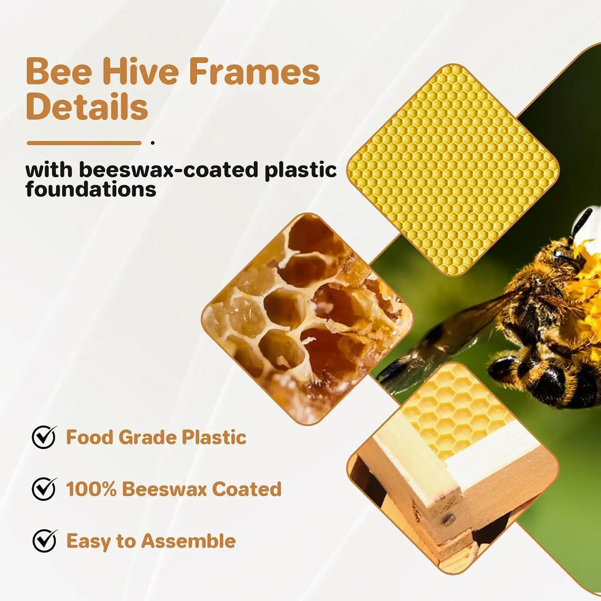 Beeswax Coated Langstroth Beehive Starter Kit With Frames and Foundations