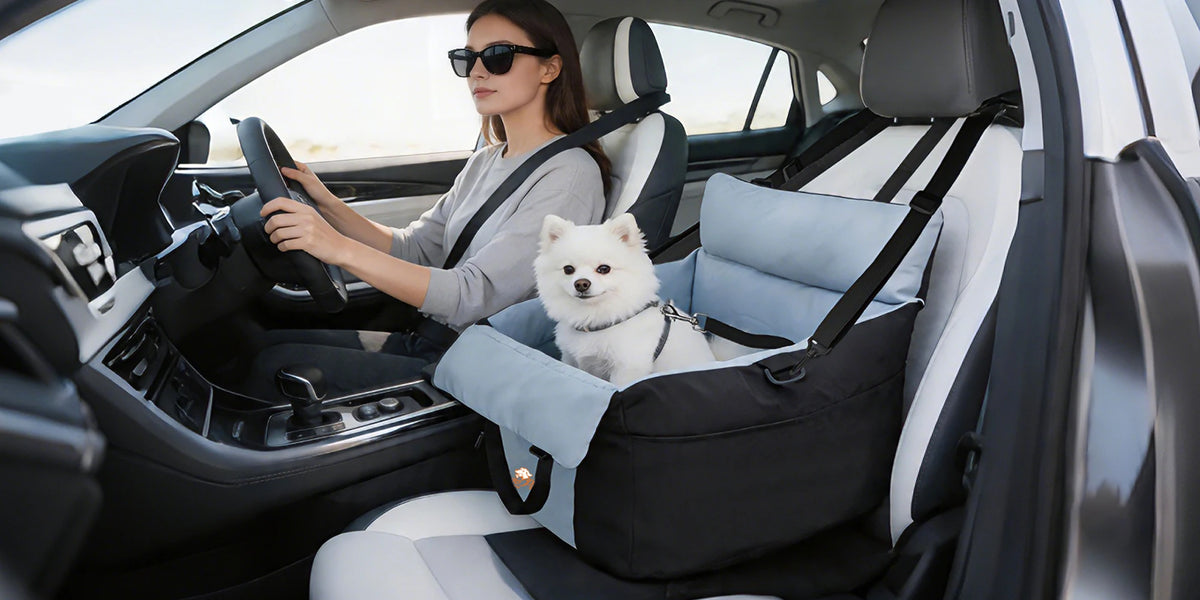 BORWART Portable Dog Car Seat Booster With Safety Belt