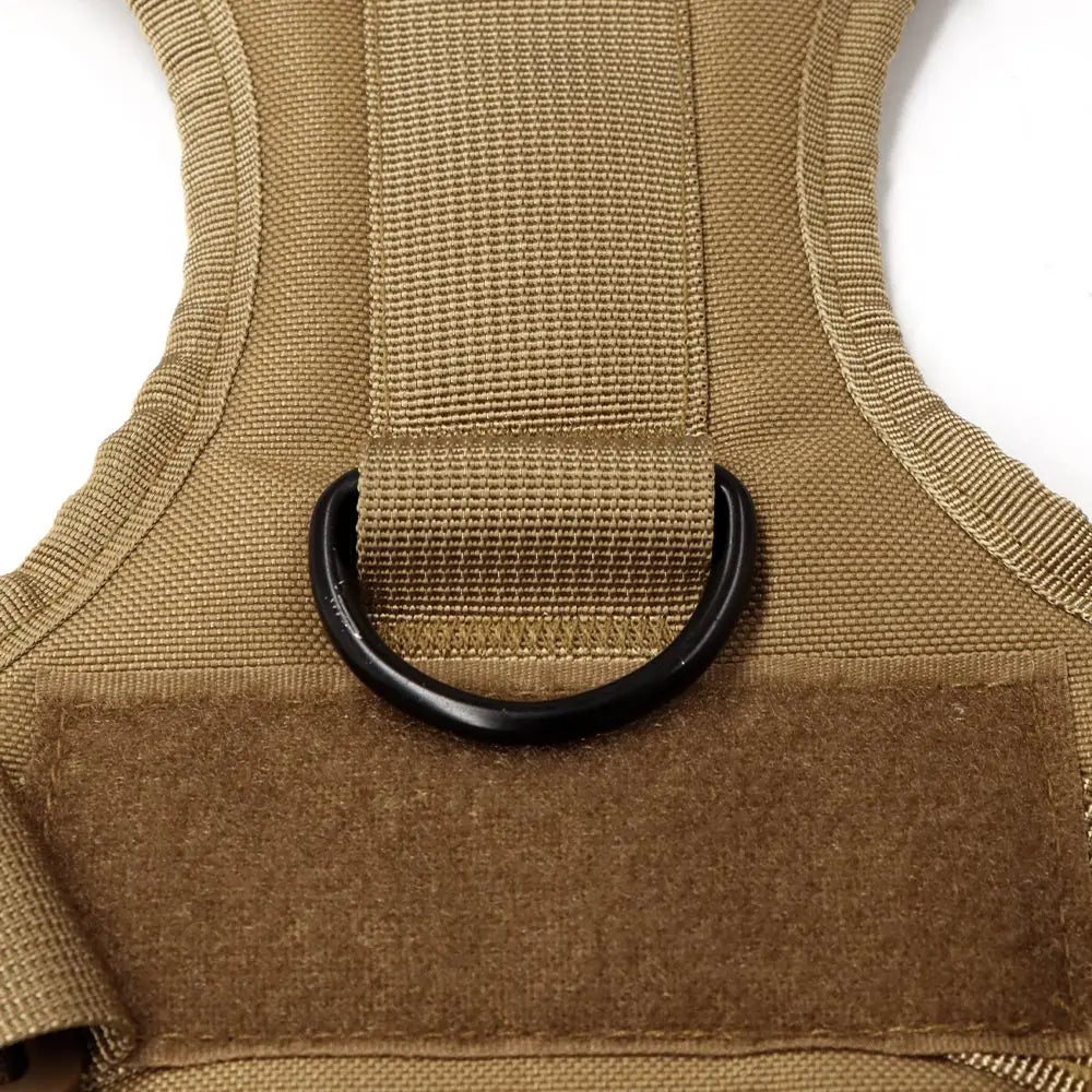 PETRAVEL Dog Harness And Leash Set For Training And Walking