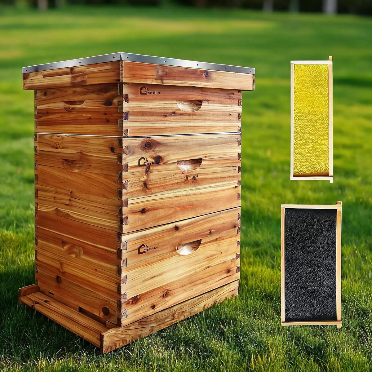 Beeswax Coated Langstroth Beehive Starter Kit With Frames and Foundations