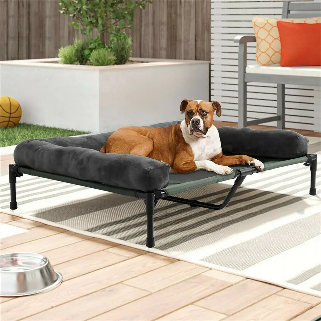 BINGOPAW Elevated Pet Bed Detachable Bolster For Dogs And Cats