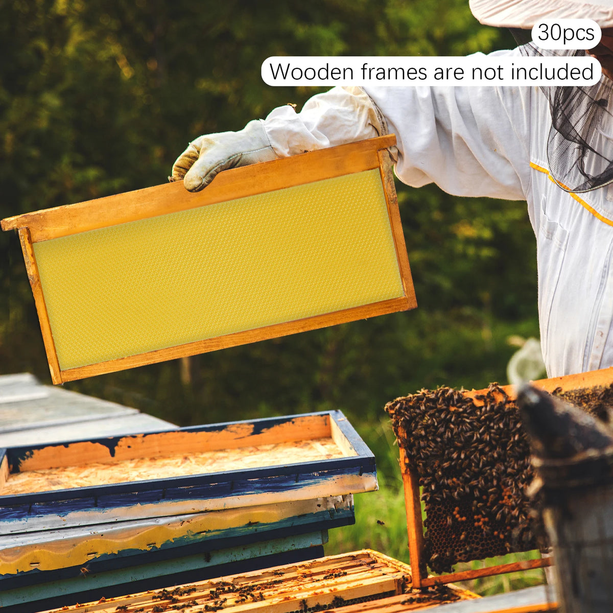 Natural Beeswax Hive Foundation Sheets for Faster Comb Building