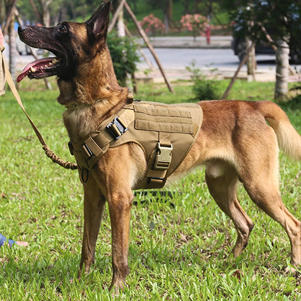 PETRAVEL Dog Harness And Leash Set For Training And Walking