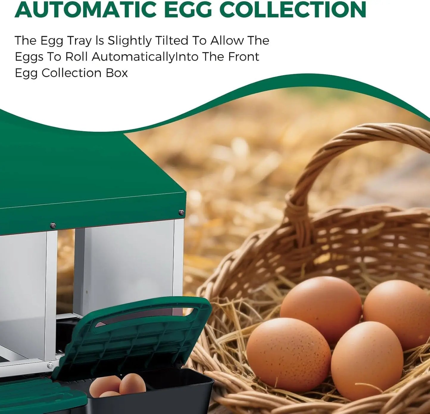 TWISTER.CK Metal Chicken Nesting Box With Automatic Roll Out Egg Collection
