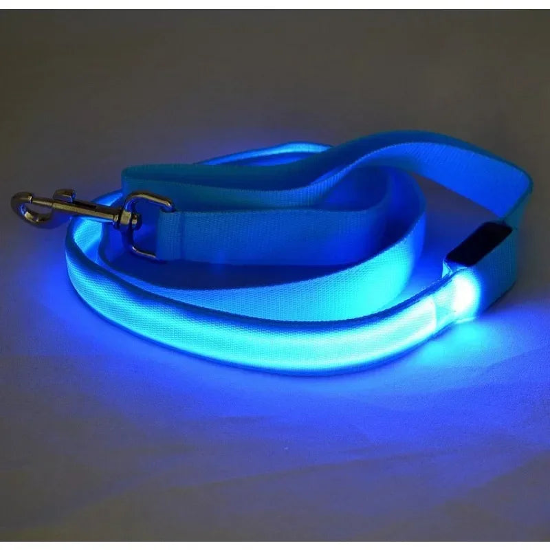 LED Glowing Dog Leash With Flashing Lights For Night Safety