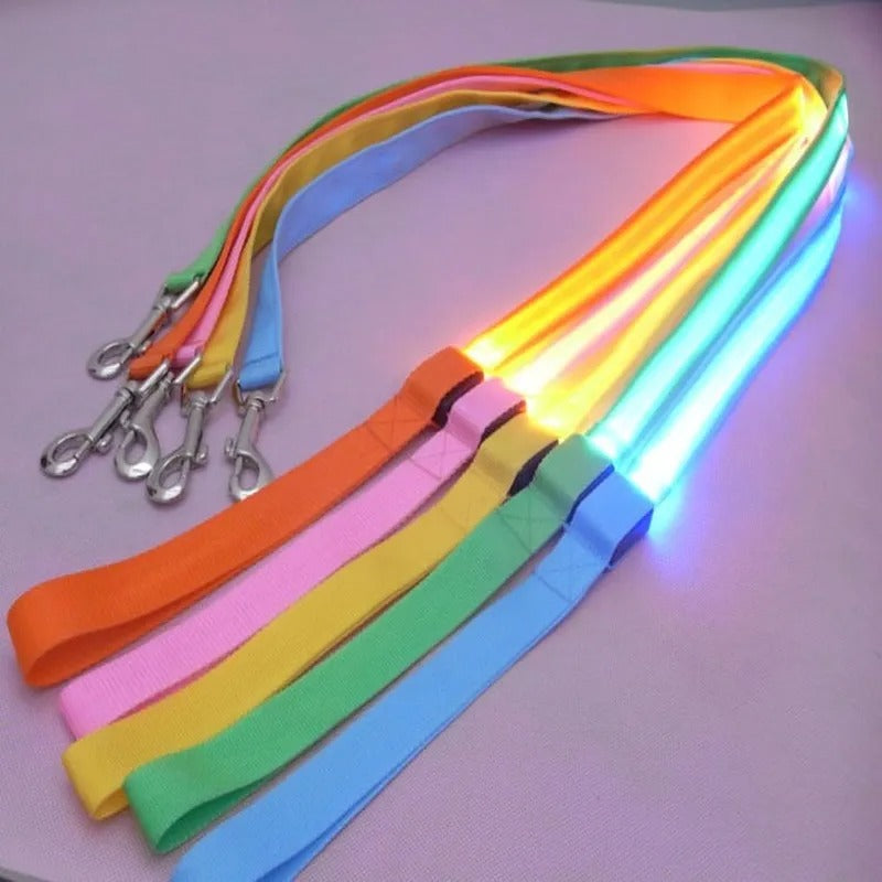 LED Glowing Dog Leash With Flashing Lights For Night Safety