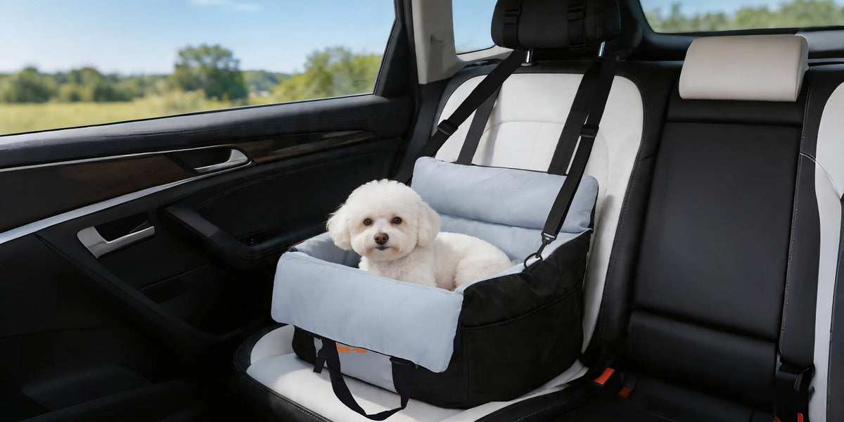 BORWART Portable Dog Car Seat Booster With Safety Belt