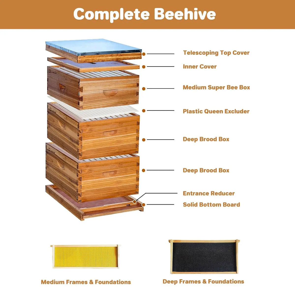 Beeswax Coated Langstroth Beehive Starter Kit With Frames and Foundations