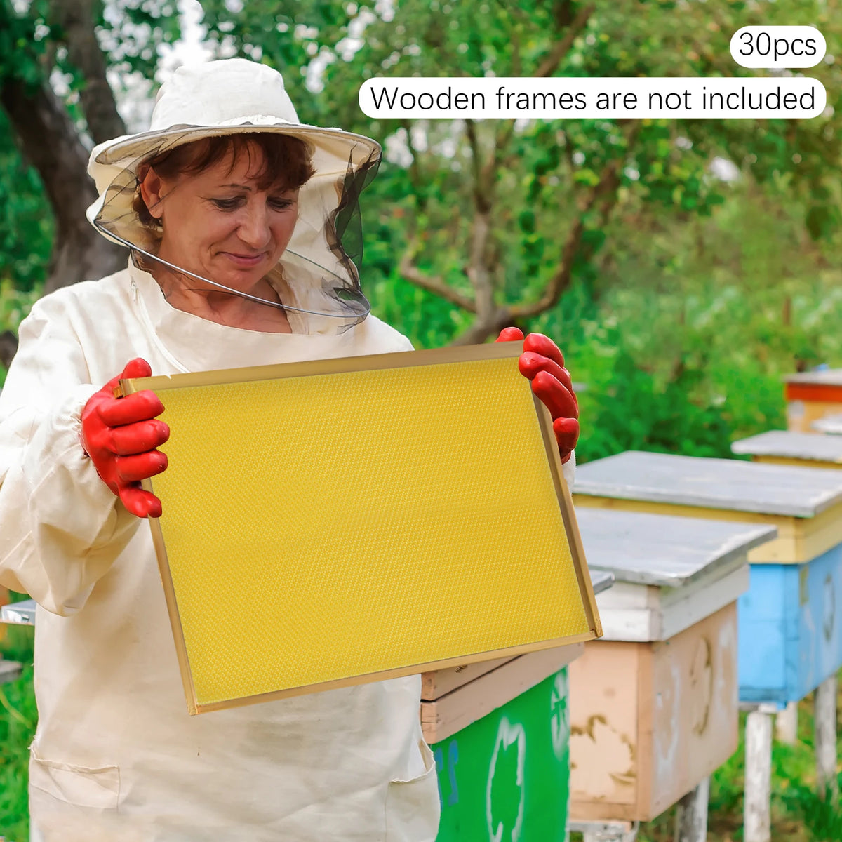 Natural Beeswax Hive Foundation Sheets for Faster Comb Building