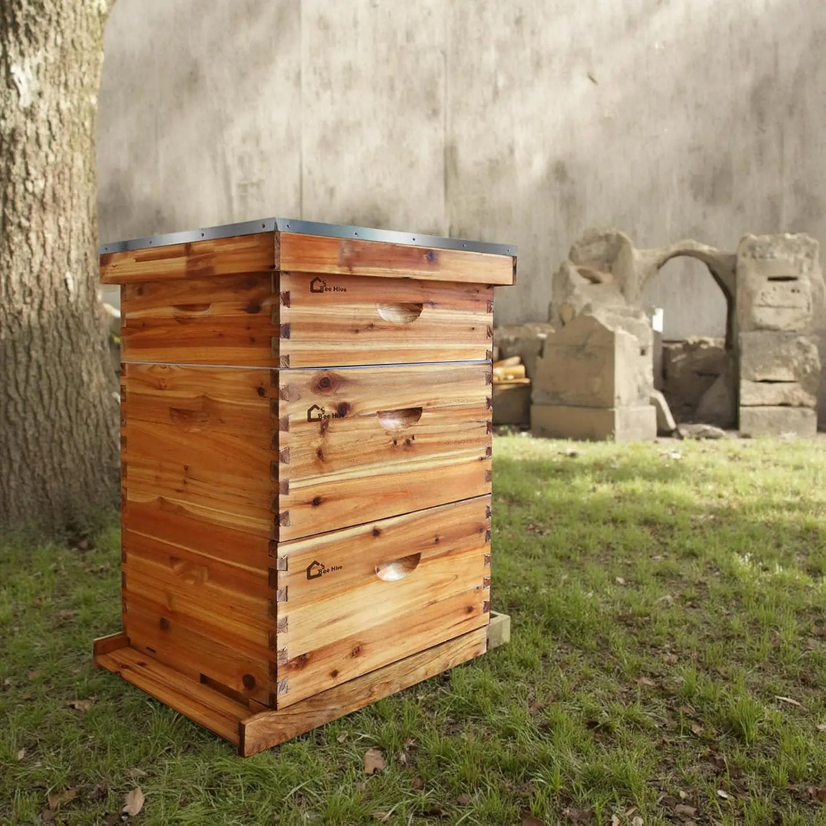 Beeswax Coated Langstroth Beehive Starter Kit With Frames and Foundations