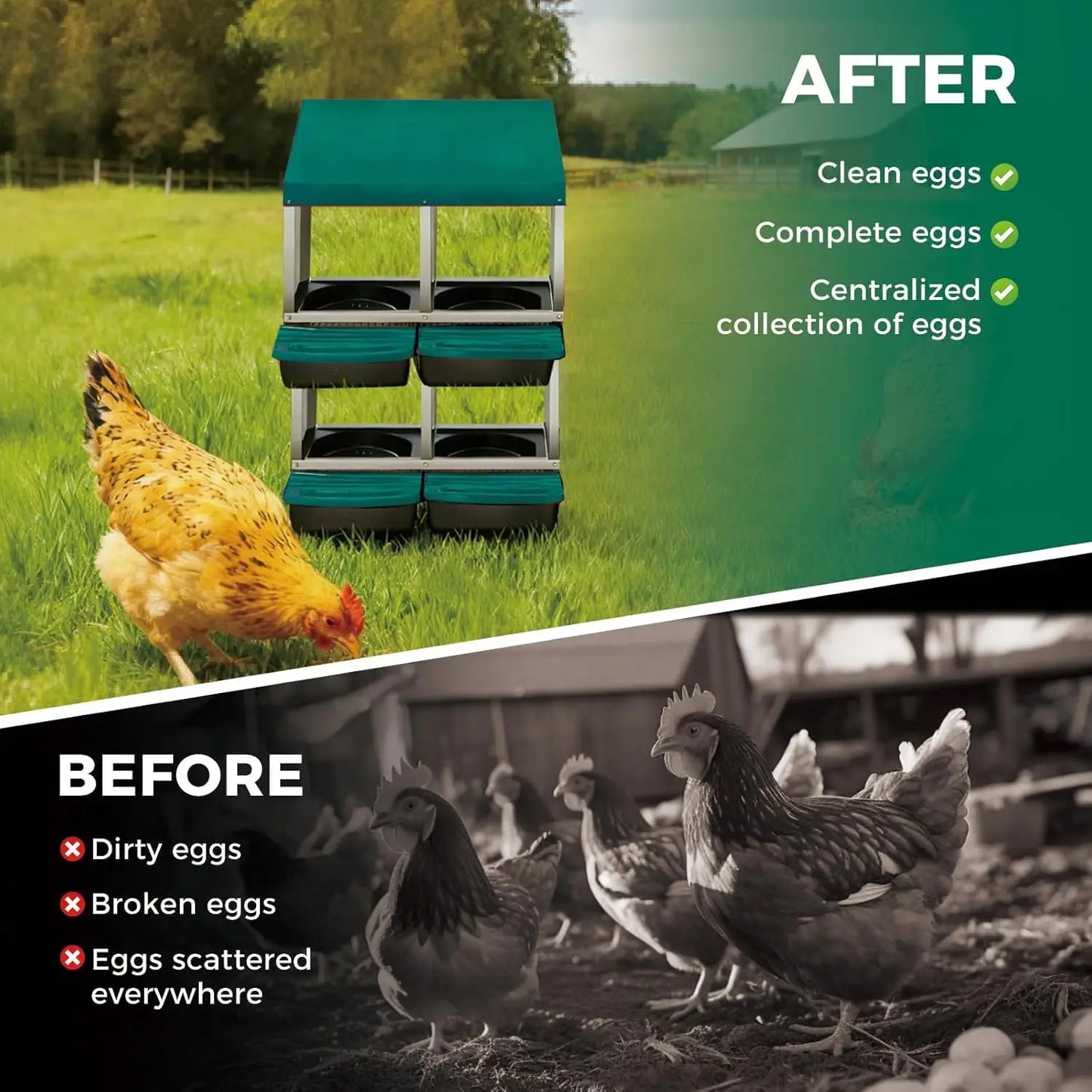 TWISTER.CK Metal Chicken Nesting Box With Automatic Roll Out Egg Collection