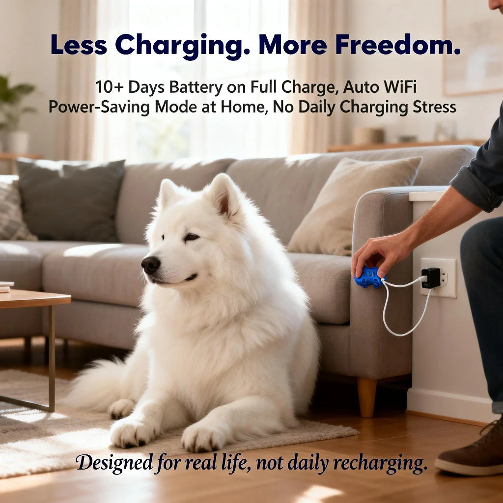Wanwaytech GPS Pet Tracker For Dogs And Cats With Real-Time Tracking