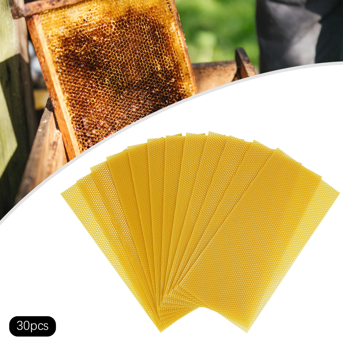 Natural Beeswax Hive Foundation Sheets for Faster Comb Building