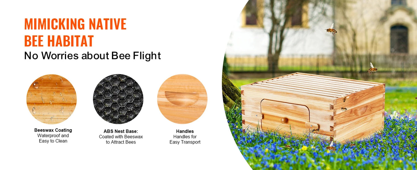 SucceBuy Cedar Langstroth Beehive Deep Box Starter Kit Acrylic Windows