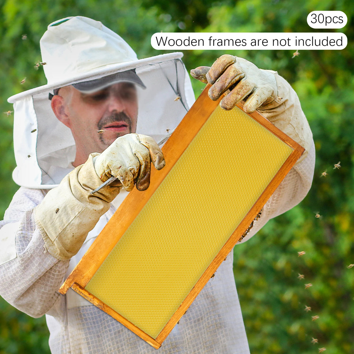 Natural Beeswax Hive Foundation Sheets for Faster Comb Building
