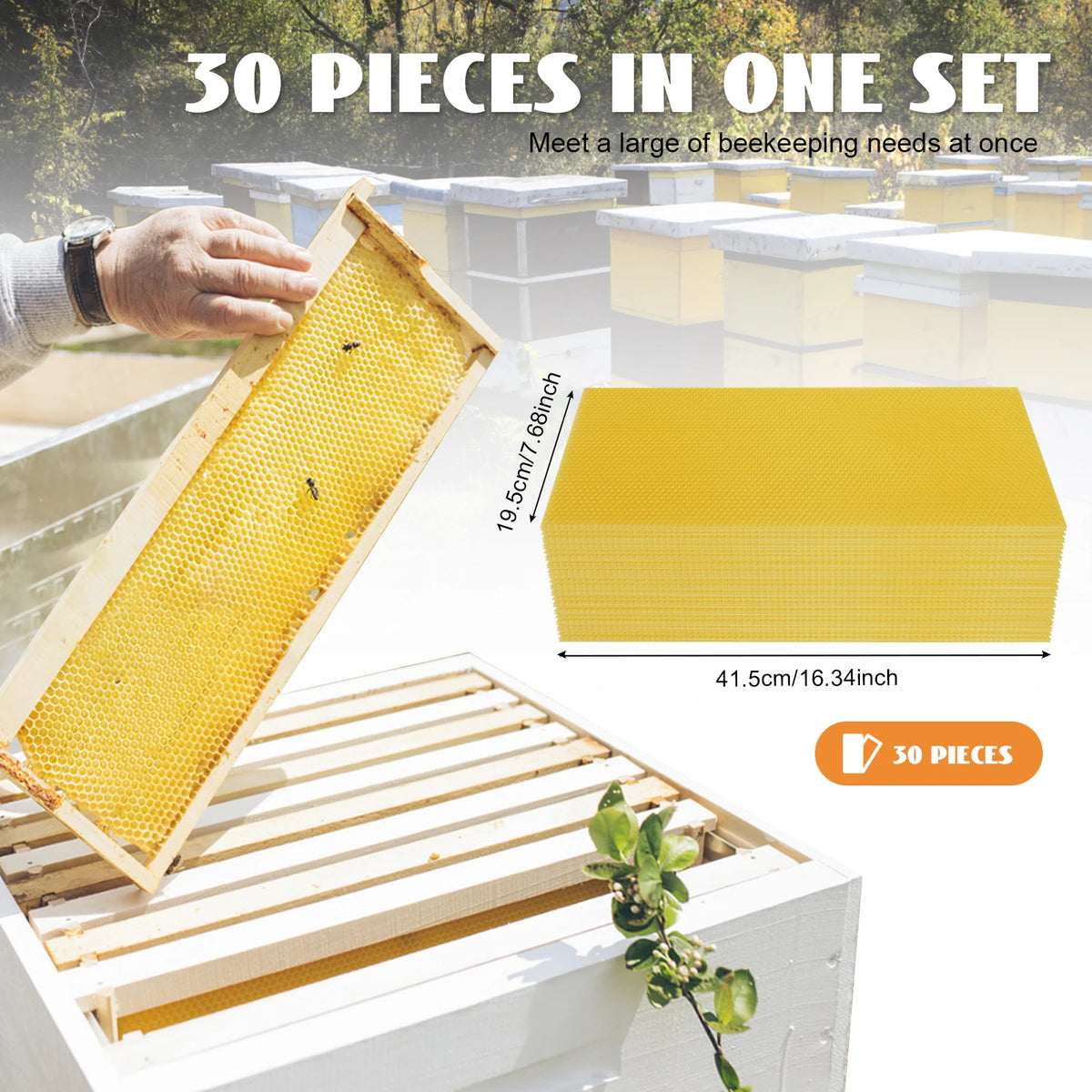 Natural Beeswax Hive Foundation Sheets for Faster Comb Building