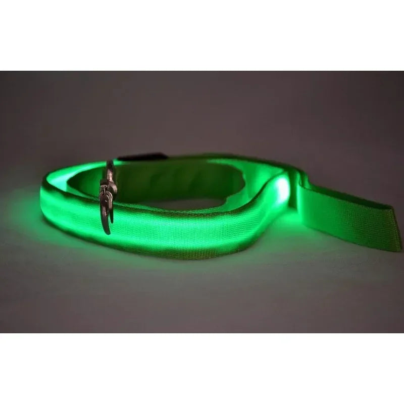 LED Glowing Dog Leash With Flashing Lights For Night Safety