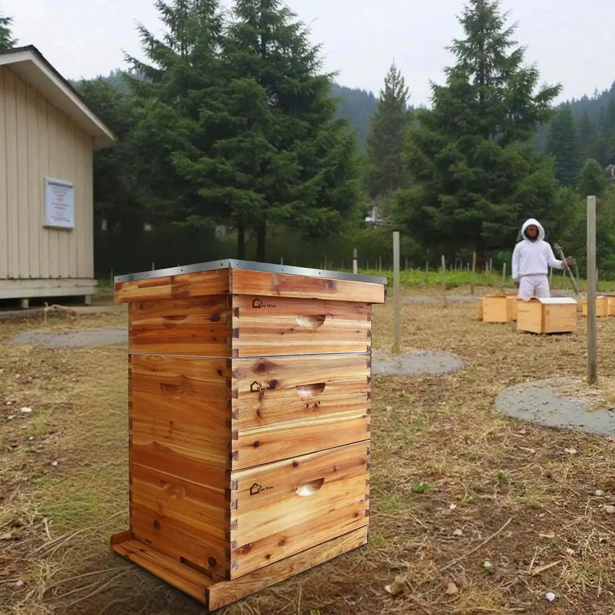 Beeswax Coated Langstroth Beehive Starter Kit With Frames and Foundations