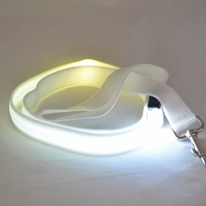 LED Glowing Dog Leash With Flashing Lights For Night Safety