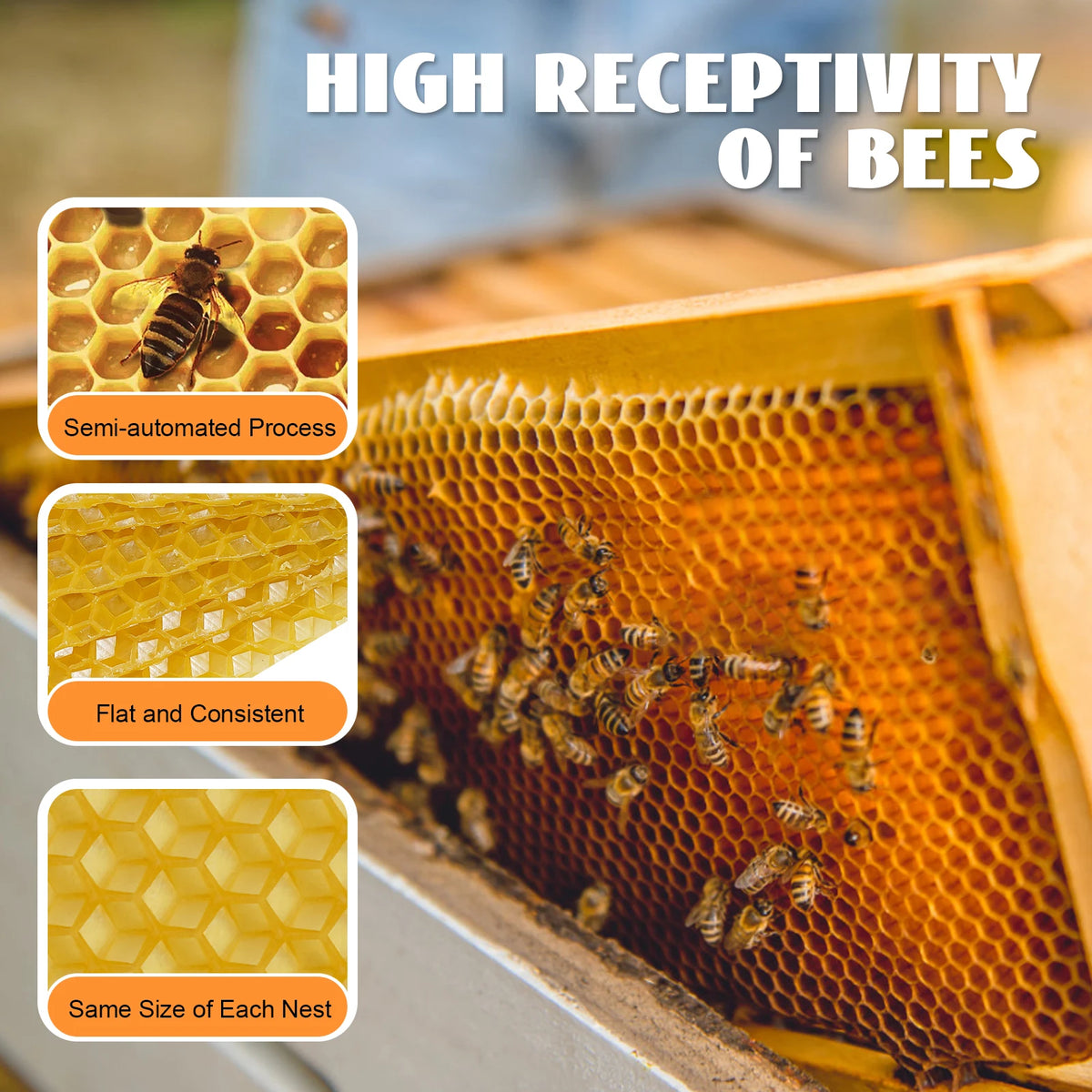 Natural Beeswax Hive Foundation Sheets for Faster Comb Building