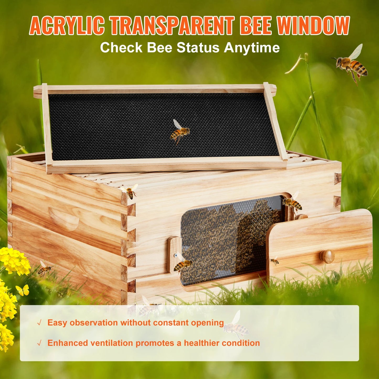 SucceBuy Cedar Langstroth Beehive Deep Box Starter Kit Acrylic Windows
