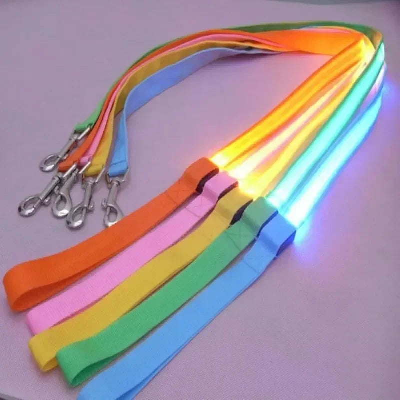 LED Glowing Dog Leash With Flashing Lights For Night Safety
