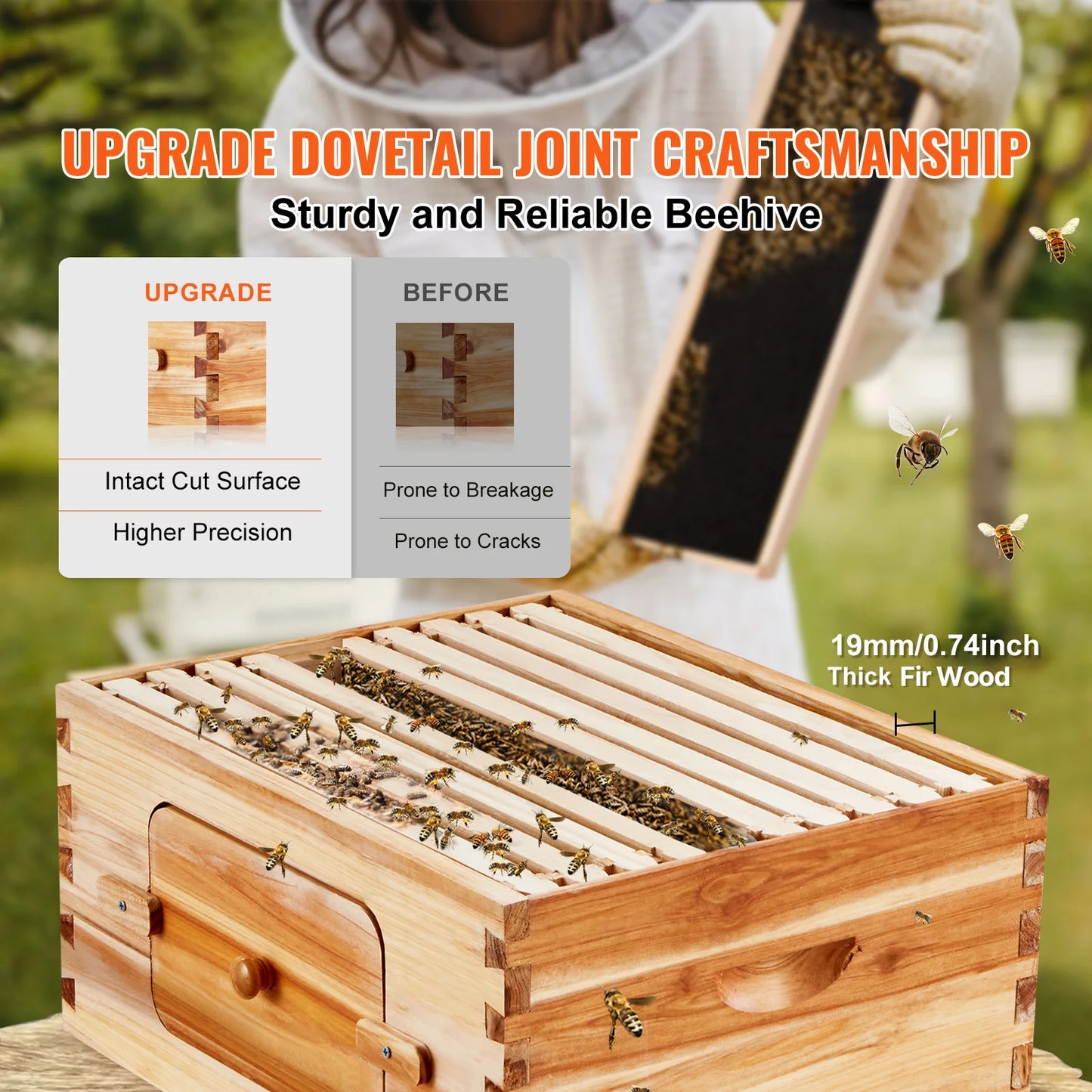 SucceBuy Cedar Langstroth Beehive Deep Box Starter Kit Acrylic Windows